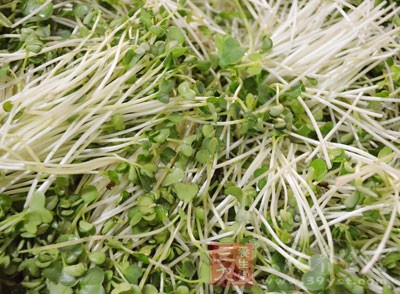 有的豆芽(特別是黃豆芽)在生產時施用了除草劑 有的豆芽(特別是黃豆芽)在生產時施用了除草劑