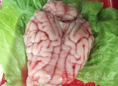 這裡說到的比肥豬肉還會造成肥胖的食材就是豬腦了 這裡說到的比肥豬肉還會造成肥胖的食材就是豬腦了