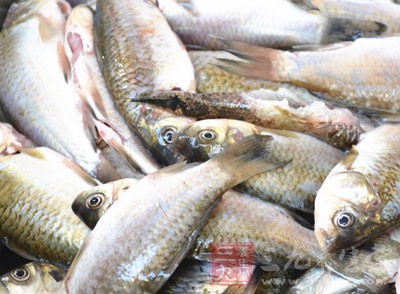 所以,魚、肉、蛋等高蛋白質食物高度腐敗之後,味道會非常可怕 所以,魚、肉、蛋等高蛋白質食物高度腐敗之後,味道會非常可怕