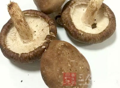 保存蘑菇最怕受潮,放在冰箱裡的蘑菇很容易受潮變得黏糊糊的 保存蘑菇最怕受潮,放在冰箱裡的蘑菇很容易受潮變得黏糊糊的