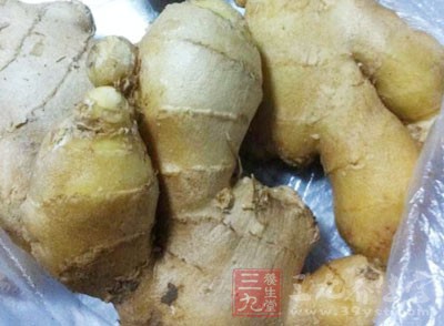 腐爛後的生姜產生一種毒性很強的黃樟素 腐爛後的生姜產生一種毒性很強的黃樟素