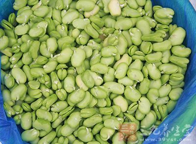 因為這種蔬菜本身含有一種物質巢菜鹼苷