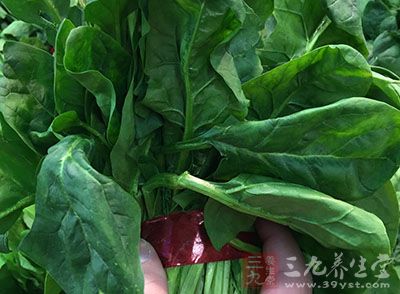 諸多綠色蔬菜是人們生吃的對象，尤其是菠菜