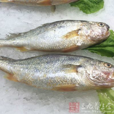 魚類含有嘌呤類物質，而痛風則是由於人體內的嘌呤代謝發生紊亂而引起的