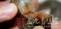 小龍蝦裡面含有豐富的蛋白質