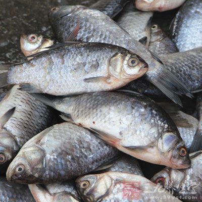 空腹吃魚更是司空見慣的事情,但這卻很可能導致痛風發作 空腹吃魚更是司空見慣的事情,但這卻很可能導致痛風發作