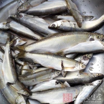 因此購魚時要特別注意鑒別以下幾個方面 因此購魚時要特別注意鑒別以下幾個方面