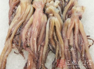 鱿魚、墨魚、小魚干