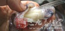 揭秘那些暗藏細菌的食物