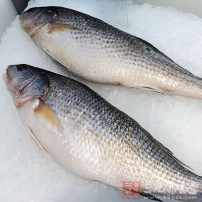 無論是海水魚,還是淡水魚,關鍵看養殖環境是否符合要求 無論是海水魚,還是淡水魚,關鍵看養殖環境是否符合要求