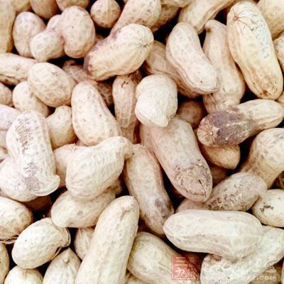 花生、玉米、大豆最易受到黃曲霉毒素的污染 花生、玉米、大豆最易受到黃曲霉毒素的污染