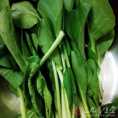 青菜中的葉綠素等物質能有效降低致癌物質黃曲霉毒素的毒性