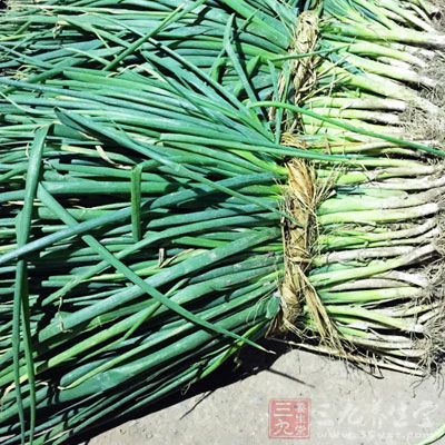 轉至砂鍋調成小火,加入香蔥結慢焖1-1.5小時 轉至砂鍋調成小火,加入香蔥結慢焖1-1.5小時