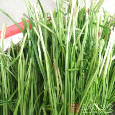 夏日韭菜多老化,纖維多而粗糙 夏日韭菜多老化,纖維多而粗糙
