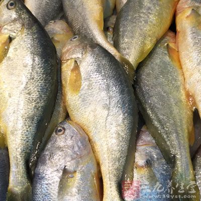 同時,黃花魚也不能用牛、羊油煎炸 同時,黃花魚也不能用牛、羊油煎炸