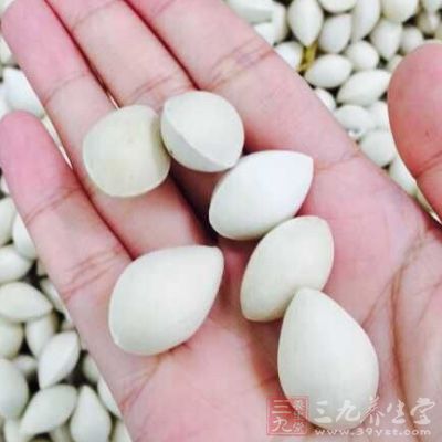 白果內含有氫氰酸毒素，毒性很強