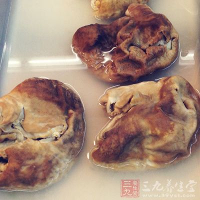 豬肺中含有大量的細菌和病毒