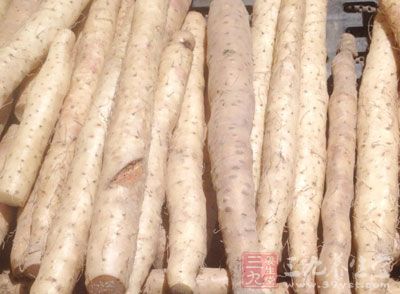原本山藥本身的補益作用是不容忽視的