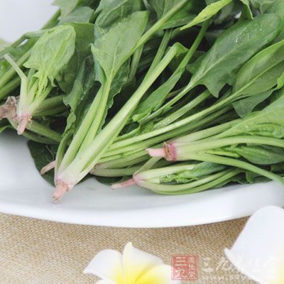 很多人認為菠菜中含有過多的草酸,多吃會影響鈣的吸收 很多人認為菠菜中含有過多的草酸,多吃會影響鈣的吸收