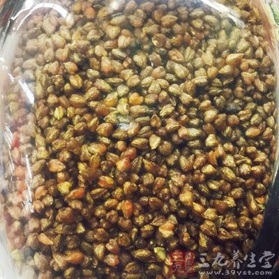 大麥含有大量的可溶性和不可溶性纖維 大麥含有大量的可溶性和不可溶性纖維