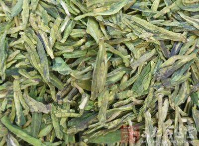 鮮茶葉中含有較多的生物鹼