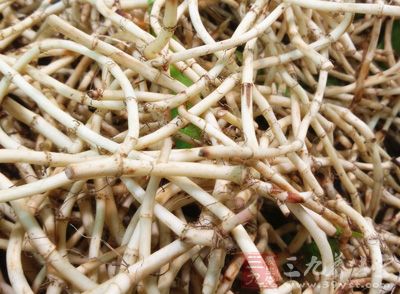 棠梨花、金雀花、魚腥草、板藍根