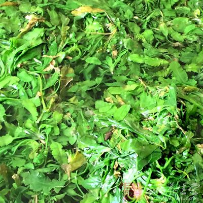 野菜雖好，不宜長期和大量食用，嘗嘗新鮮即可
