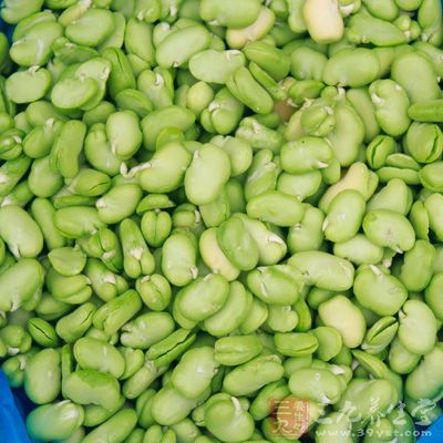 蠶豆含蛋白質、碳水化合物、粗纖維、磷脂、膽鹼