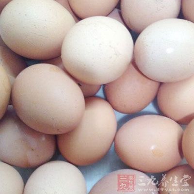 高蛋白食物(牛肉、雞蛋、奶制品等) 高蛋白食物(牛肉、雞蛋、奶制品等)
