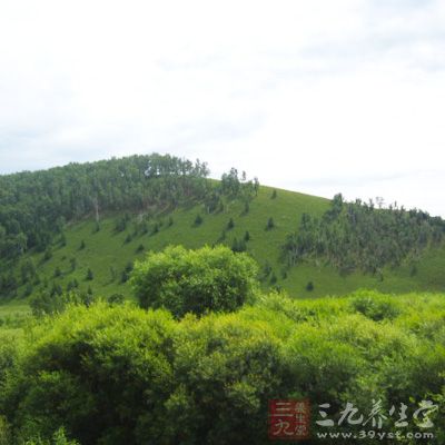 所謂新茶是指采摘下來不足一個月的茶葉,比如當季的春茶 所謂新茶是指采摘下來不足一個月的茶葉,比如當季的春茶