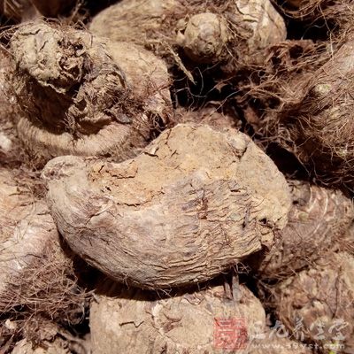 但芋頭若與蕉同食時，恐會引起腹脹，中毒