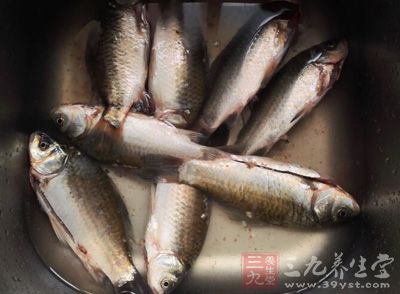 近日魚肚子裡吃出活蟲的新聞引起網絡熱議 近日魚肚子裡吃出活蟲的新聞引起網絡熱議