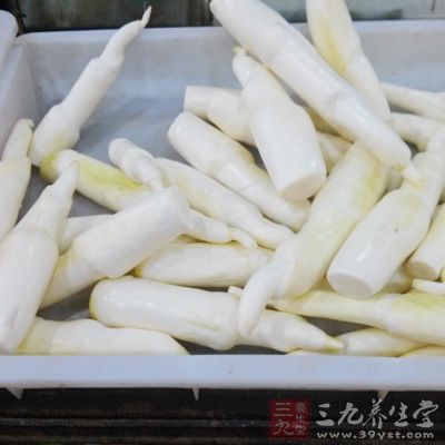 春筍富含粗纖維,可以幫助食物消化 春筍富含粗纖維,可以幫助食物消化