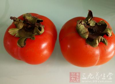 柿子含有柿膠酚、果膠、鞣酸和鞣紅素等物質,具有很強的收斂作用 柿子含有柿膠酚、果膠、鞣酸和鞣紅素等物質,具有很強的收斂作用