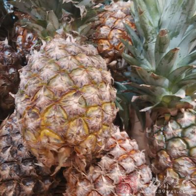 菠蘿內含有相當強的蛋白分解酵素,空腹食用容易損傷胃壁 菠蘿內含有相當強的蛋白分解酵素,空腹食用容易損傷胃壁