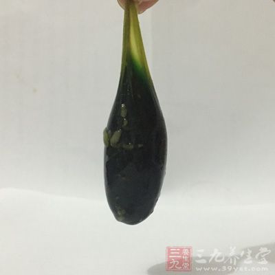 專家表示,若是真的誤食了魚膽,在病人清醒的情況下,可通過催吐的方法解決 專家表示,若是真的誤食了魚膽,在病人清醒的情況下,可通過催吐的方法解決