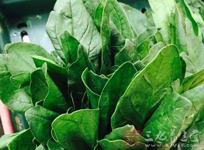 200克菠菜中,含草酸725.6毫克 200克菠菜中,含草酸725.6毫克