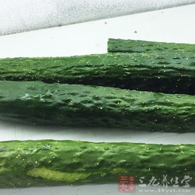 帶刺、掛白霜的黃瓜為新摘的鮮瓜