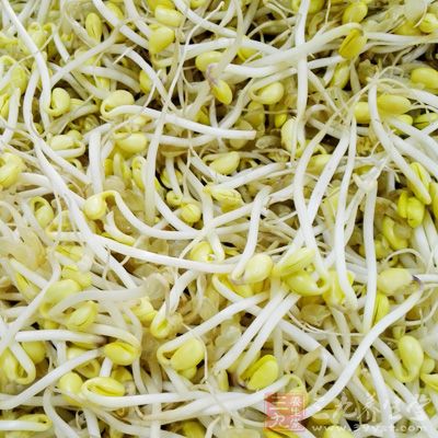吃黃豆芽對青少年生長發育、預防貧血等大有好處 吃黃豆芽對青少年生長發育、預防貧血等大有好處