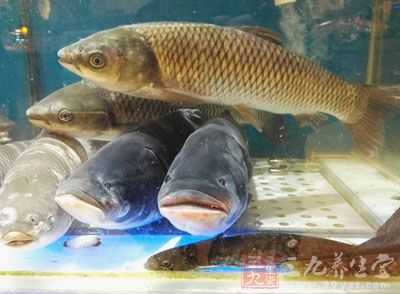 吃海鮮不當險些丟命
