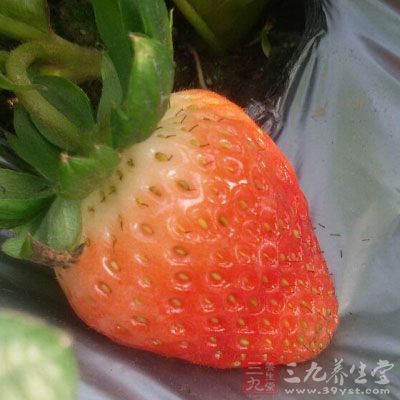 草莓屬於春季的時令水果，它本身含有非常豐富的維生素C