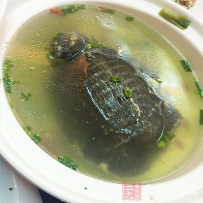 雖然它具有滋陰益腎的功效，但是甲魚性味鹹寒