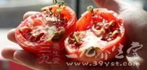 什麼樣的菜不能買