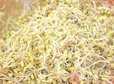 豆芽一般都是有根須的 豆芽一般都是有根須的