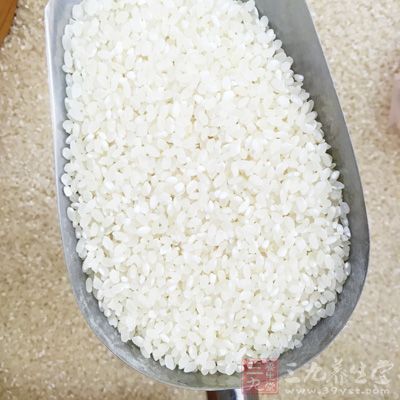 稻米中的蛋白質生物價與大豆相當 稻米中的蛋白質生物價與大豆相當