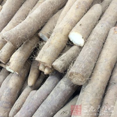 山藥含有皂甙、黏液質,具有潤滑,滋潤的功效 山藥含有皂甙、黏液質,具有潤滑,滋潤的功效