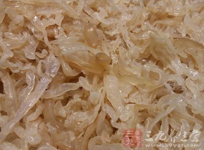 海蜇不能吃新鮮的