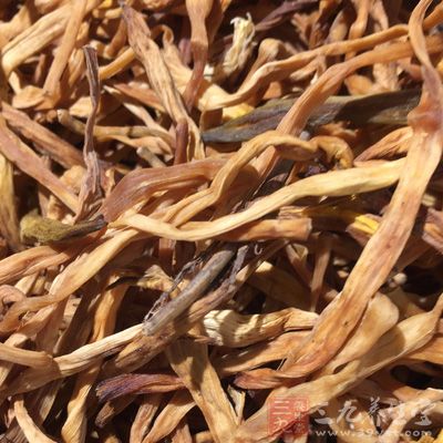 黃花菜不能吃新鮮的