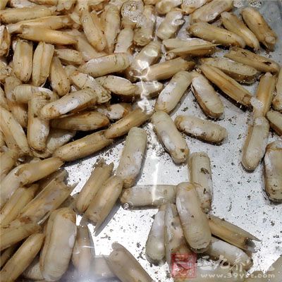 貝類和海洋食腐動物，這兩種海鮮病菌含量最多