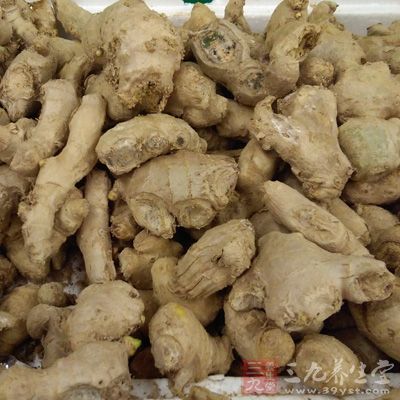 即使把食物上的這些霉菌去掉,還是會傷害身體的 即使把食物上的這些霉菌去掉,還是會傷害身體的